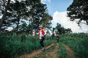 BIB: 
                            <button type="button" onclick="openModal(26040235)" class="btn btn-primary btn-sm float-right btn-popup" data-toggle="modal" data-target=".modal-high-quality">
                        <i class="fas fa-shopping-cart"></i> Add to Cart
                    </button>
                                            <button type="button" onclick="isThisMe(26040235, true)" class="btn btn-success btn-sm float-right btn-popup btn-isme hidden" data-toggle="tooltip" data-placement="bottom" title="นี่คือรูปของคุณใช่ไหม คลิกที่นี่เพื่อเอาเข้าอัลบั้ม">
                        <i class="fas fa-plus"></i> Add to album
                    </button>
                    <button type="button" onclick="isThisMe(26040235, false)" class="btn btn-warning btn-sm float-right btn-popup btn-isnotme hidden">
                        <i class="fas fa-ban"></i> Remove from album
                    </button>